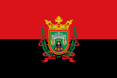 curso de vigilante de seguridad Burgos