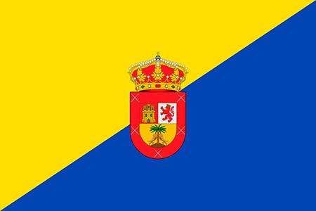 curso de vigilante de seguridad Palmas, Las